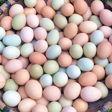 正宗土鸡蛋散养农村农家新鲜柴鸡蛋鸡蛋笨鸡蛋绿壳乌鸡蛋批发