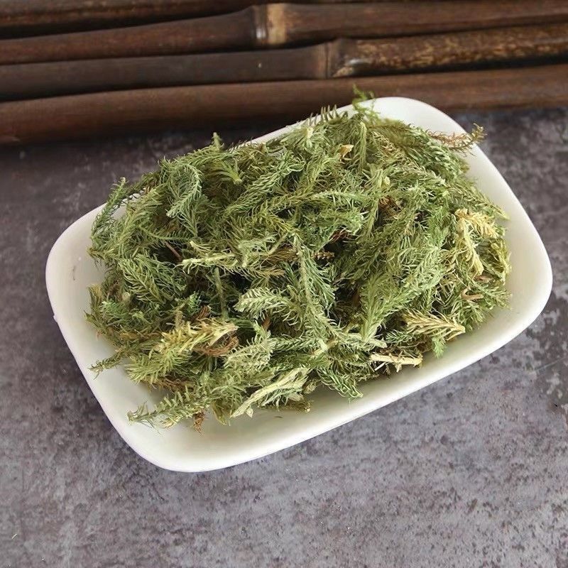 Dried Lycopodium Herb Shen Jin Cao 500g Traditional Chinese Herbal Tea and Decoction Ingredient quality and texture