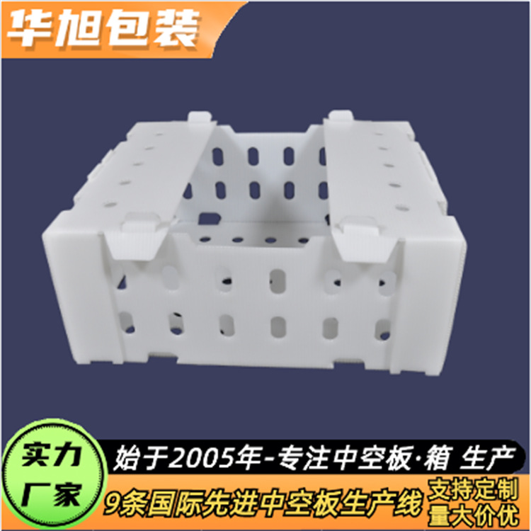 淄 博 pp材质葡萄箱 水果包装箱-来华旭包装专业团队