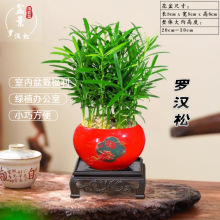 _h辰҃ȾGֲkֲС~Bļ