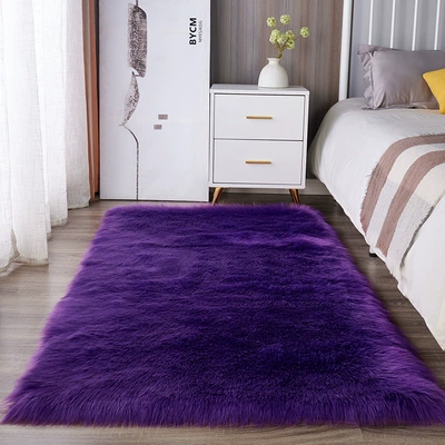 Floor Mat, and Window Decoration, Car Carpet
