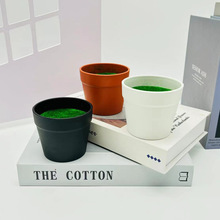 ֲ����[���������軨���Է��滨���b�Сֲ��ĭ���l����q�����