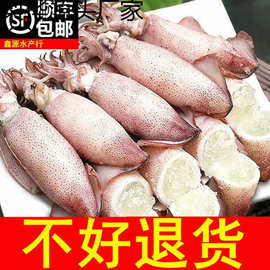 6斤全籽籽乌满籽海兔子笔管鱼鱿鱼仔新鲜海鲜批发1