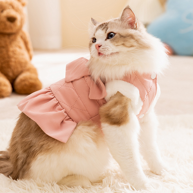 고양이 가을, 겨울 공주 스타일 큰 활 드레스 개 스커트 테디 코튼 코트 애완 동물 고양이 옷 겨울