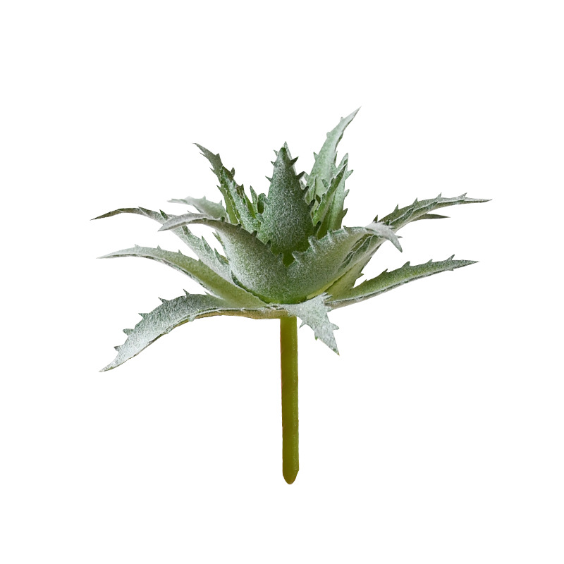 Simulación transfronteriza suculenta especial para plantación de aloe vera pequeña plantación verde pequeña plantación de bonsai pequeña plantación de flores suculentas accesorios diy falso plantación verde