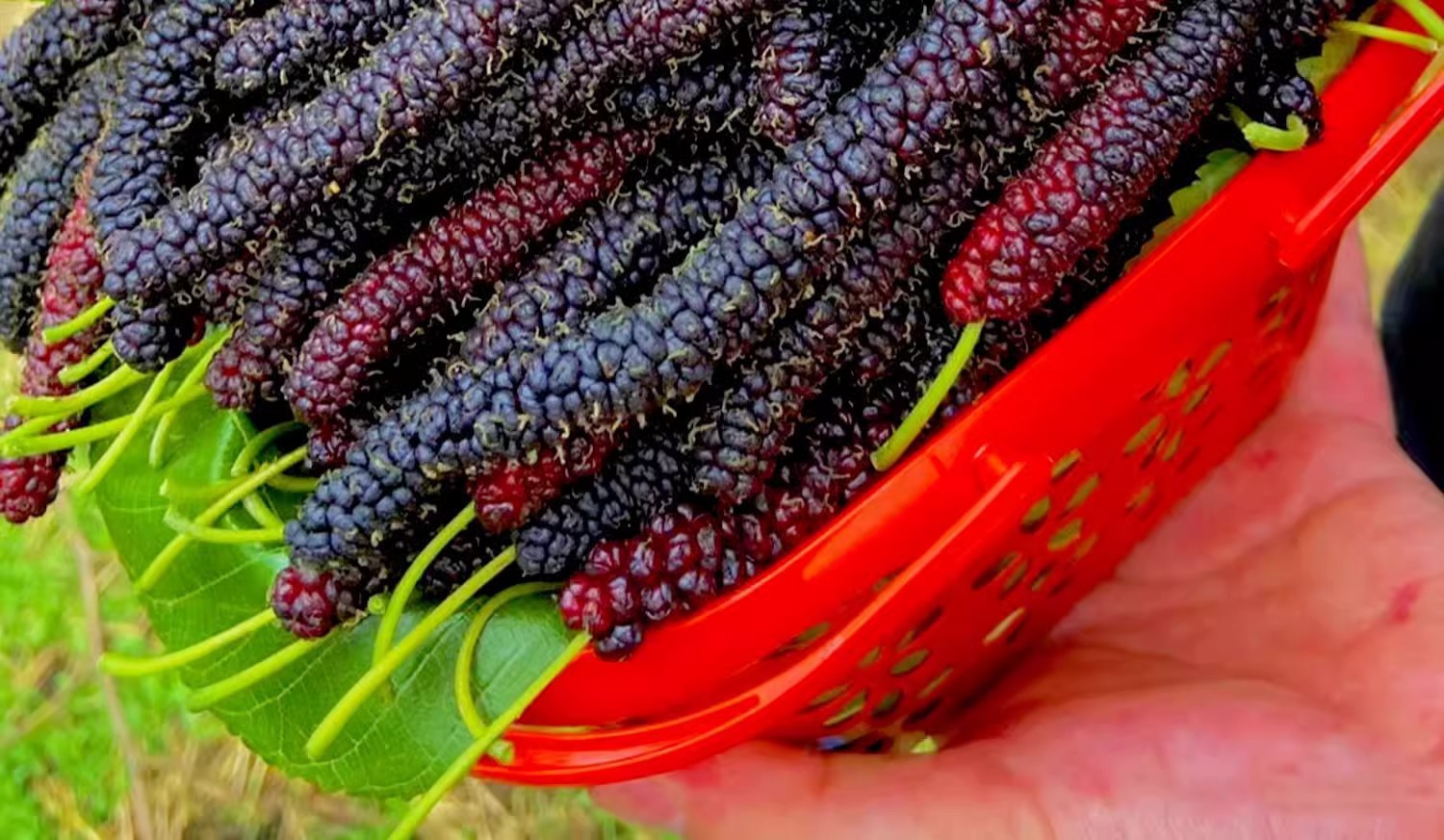 O1CN01Ctr1r21KQs68qnGrt_!!2219532571159-0-cib.jpg?sign=583921_Mzg0OTAxODQ5