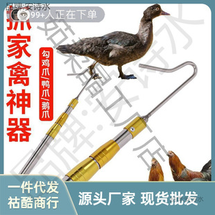 ���Z���u���h���Bֳ��ץ�u���u����׽�u�_�����h׽�u���߬F��