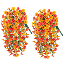 ����ͥԺ���滨 �ȼ�����ţ�������Ҿӻ�Y��Y�bڒ��ٗl����