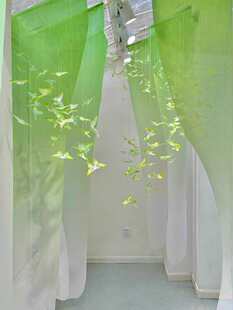 �׃��@�h�������������}���w�Gɫ������������БҒ��b�