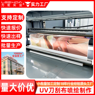 Customized Printing with Pictures, Uv Inkjet Printing, Inner Light and Outer Light Knife Scraping Cloth, Outdoor Inkjet Cloth, Light Cloth, Door Sign, Advertising Cloth