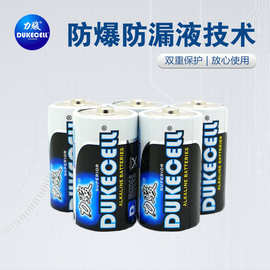 LR20  D 型号 AM1无汞碱性电池 1号电池手电筒 车位锁
