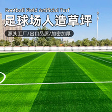 ƺٲƤGɫƤ׃@ƺ̺ٲƤ