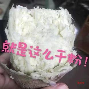 ���r���ݱ�Ƥ��������Ŵ������tƤ���ļt�����ӵعϰ��İ�����