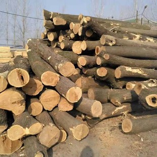 �����ľ ���ľ��ɰ�� �ľ�Ҿ�ɳ�lľ�y�֫E�|�������L����؛