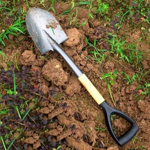 PӃͯN@ˇNi䓼÷NPsɳPrF@