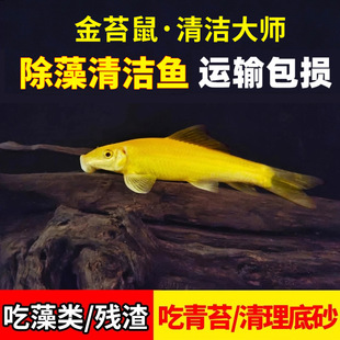 ������~���坍���~��̦�������~ʺ�����~��ˮ��̦��Ꭷ�^�p�~