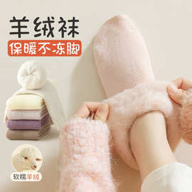 秋冬特厚羊毛袜子女保暖抗寒中筒袜冬季加厚加绒毛圈地板袜子批发