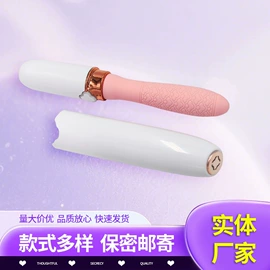 震动棒;情趣跳蛋;仿真阳具