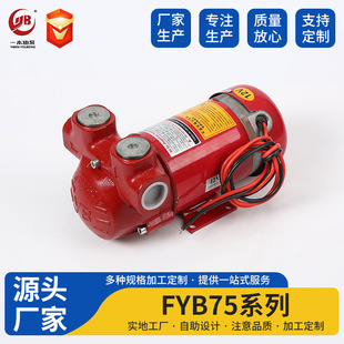 ���ͱ� FYBJ-75 ֱ�������ͱ� DC Ex-Proof Fuel Transfer Pump