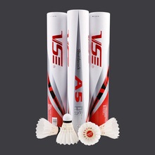 ����VS��ë��A5�Zë12ֻ�b�ʹ��w�з�����ِ�����Z��ֱȫ�@ëƬ