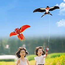 �¿�50cm�ӑB�L�~���Q��ͯ��̼ͨ�U�ӑB�L�~���l�H���~���L�~�S��