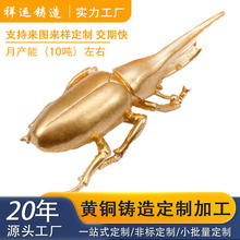 �T����ӹ� �����S�~DIY���﹤ˇƷ �U���Ľ��ٷǘ������� ���