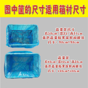 ���r��Ĥ���߲˿�Ĥ�����Ͽ����r���{ɫƽ�ڱ��r���߲˷��F�¿�