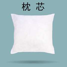 厂家直供无纺布抱枕芯 PP棉靠垫芯 批发 40 45 50 55 60坐垫芯