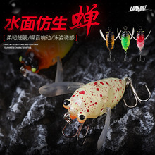 ̫��Ӳ�D�s6.5g5cmˮ��ϵ�����ҹ����D���·���D����羳�~�D