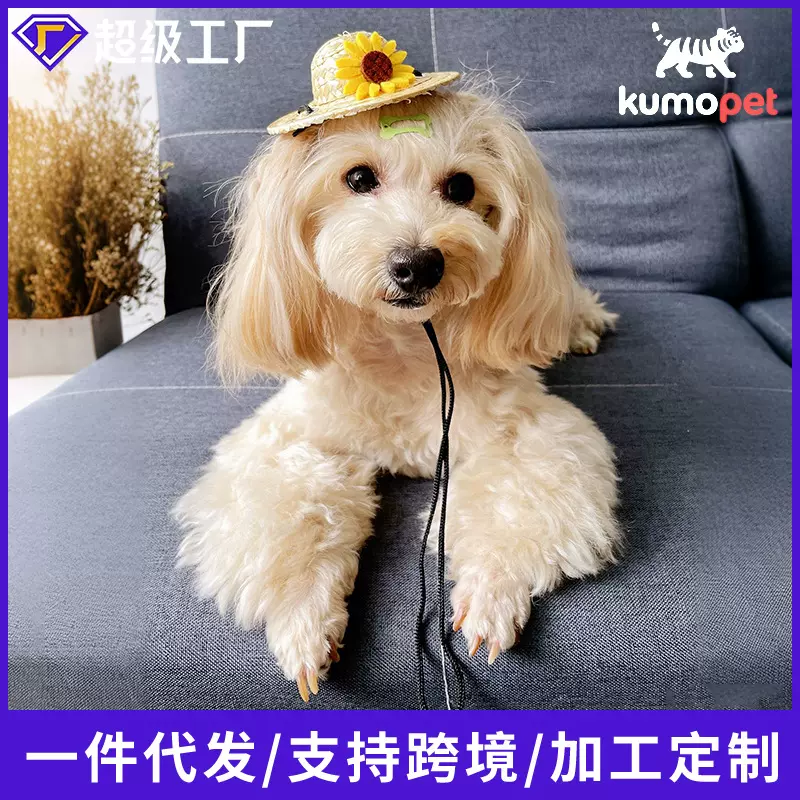 加工定制雏菊猫咪狗狗小香风草帽海边迷你小帽子棉娃帽玩具玩偶帽