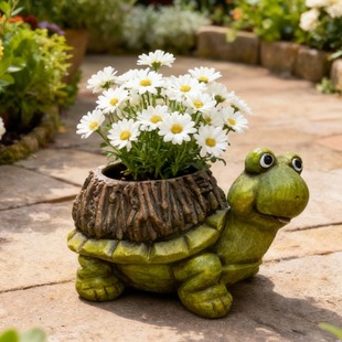 �������������軨�@�b�ͥԺ�[���쾰�̨��ƺ�׃��@�Bֳ����