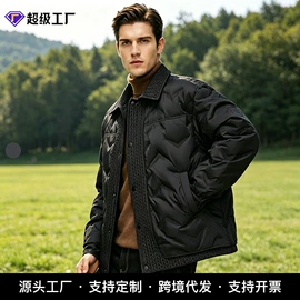 男式羽绒服;男式棉服;男式T恤