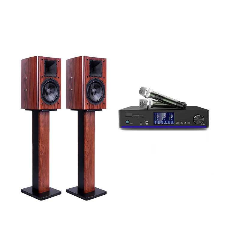 Home 2,0 home theater karaoke traje de audio con micrófono inalámbrico amplificador de efecto de nivel frontal Villa altavoz