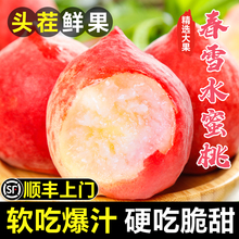 正宗水蜜桃新鲜水果5斤桃子现摘大果当季整箱软脆甜毛桃顺丰包邮