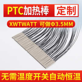 干烧单头发热管PTC电热管加热器均匀加热棒316不锈钢定制