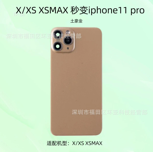Reproduction of the rear membrane-golden