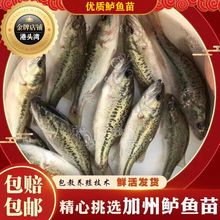 �|�~�絭ˮ�����|�~�����Bֳ���|3̖·��ֱ����ں��|�~���ش���