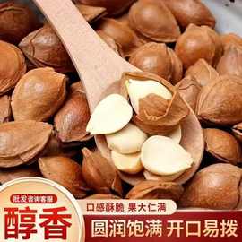 新货开口杏核坚果杏核杏仁薄壳杏核坚果休闲大杏仁零食代发