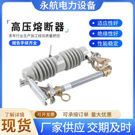 户外陶瓷高压跌落式熔断器RW12-15/200A10kv柱上保险开关熔断器