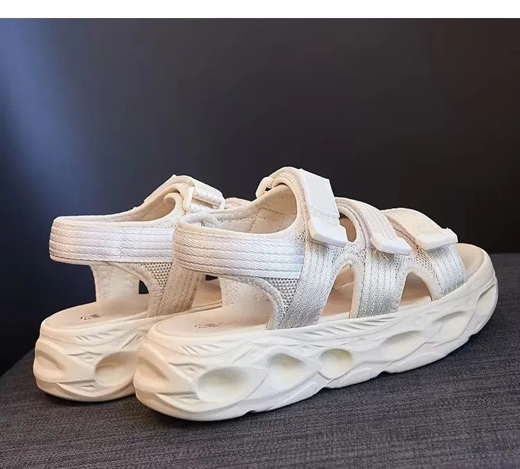 1cb0d77e-3fa2-4045-83f2-6d27c141447b.jpe