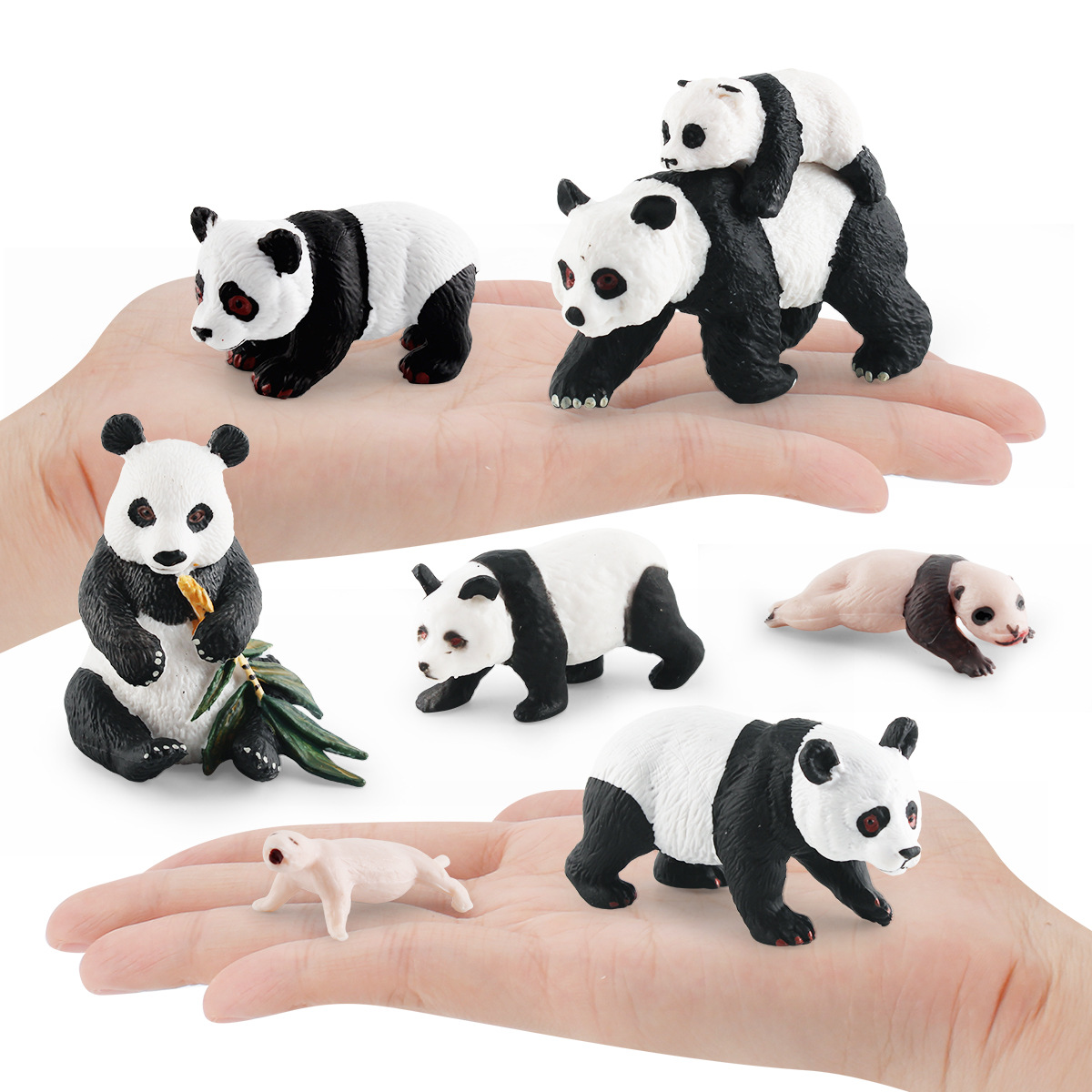 La simulación del ciclo de crecimiento de panda del Tesoro Nacional cognitivo de los niños animal gato oso proceso de crecimiento decoración estática modelo de juguete