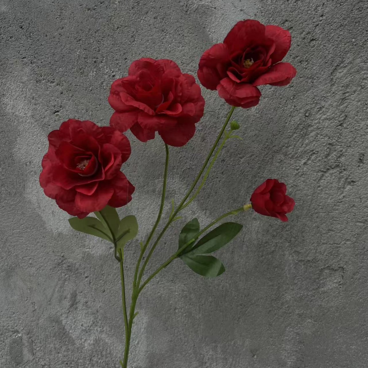 장미