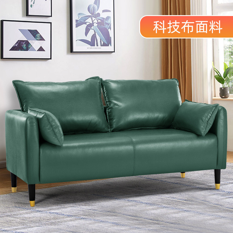 猫抓皮沙发小户型客厅简约双人两三人座北欧出租屋租房服装店简易|undefined