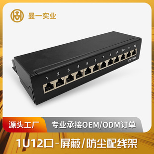 Manyi 12-Port Category 6E Category 5 Unshielded Dust-Proof Network Patch Panel Cat.6A/5E with Dust-Proof Door Rj45