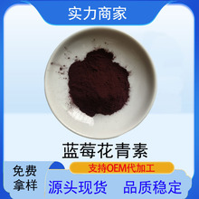 蓝莓花青素欧标蓝莓花青素源头现货蓝莓提取物蓝莓花青素浓缩中法