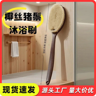 ��ë��ԡˢ�����i��ë��ˢ��ˢ2��1�����ƴ���ܛëˢ����걳ˢ��