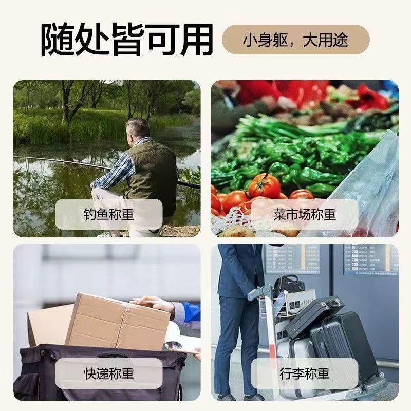 手提电子秤高精度电子称手提秤弹簧秤家用便携式小型称重器钩|undefined