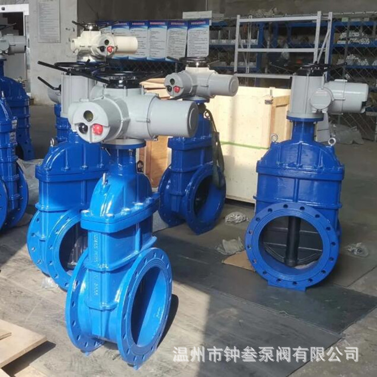 管道排水 Z945X-10C DN50 灌溉用电动闸阀 软密封电动暗杆闸阀