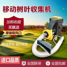 吸树叶机 草坪树叶吸叶机 马路落叶吸叶机 华中机械环卫设备