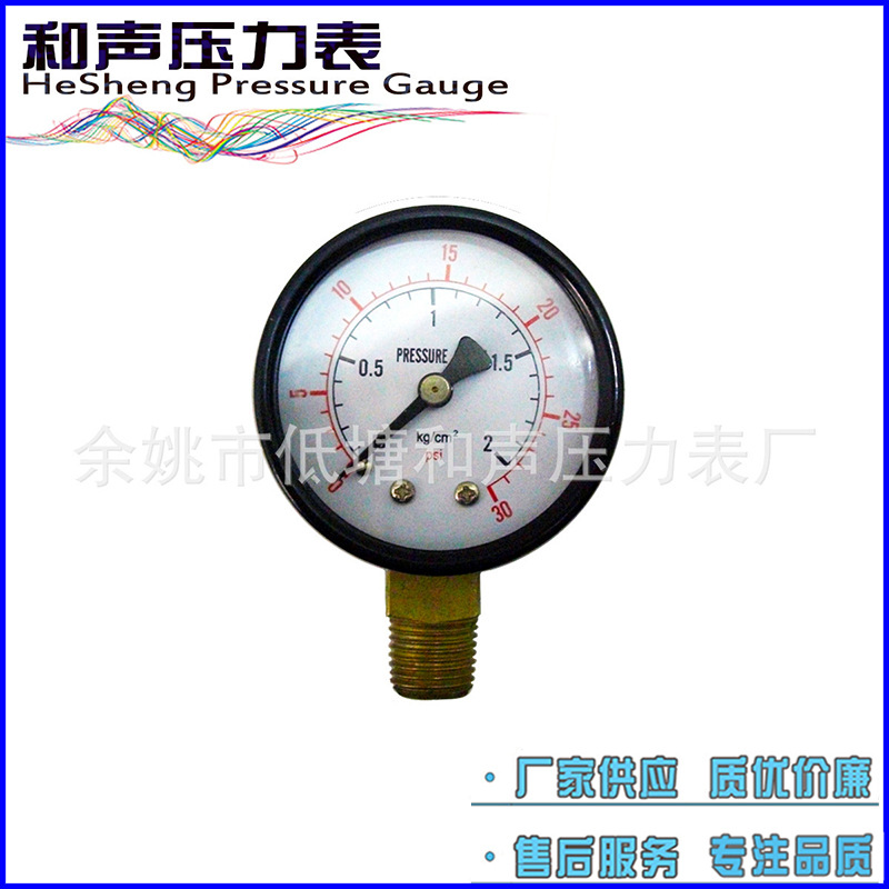 ��������Y50����ѹ������ͼ������ͨ2KG��ѹ����ձ���ѹ����Ӧ